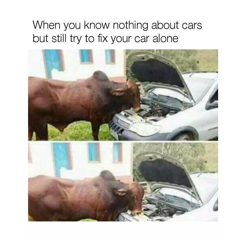 Car - meme