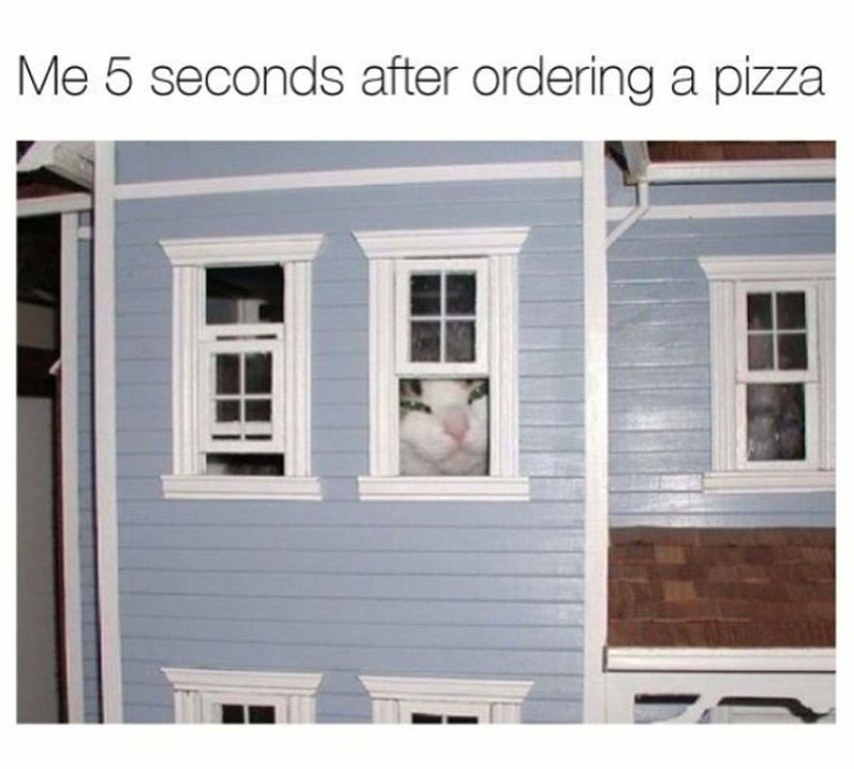 Mmmm pizza  - meme