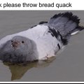 Ok, take the whole loaf