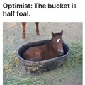 Realist: The Bucket is 100% Rubber, Actually