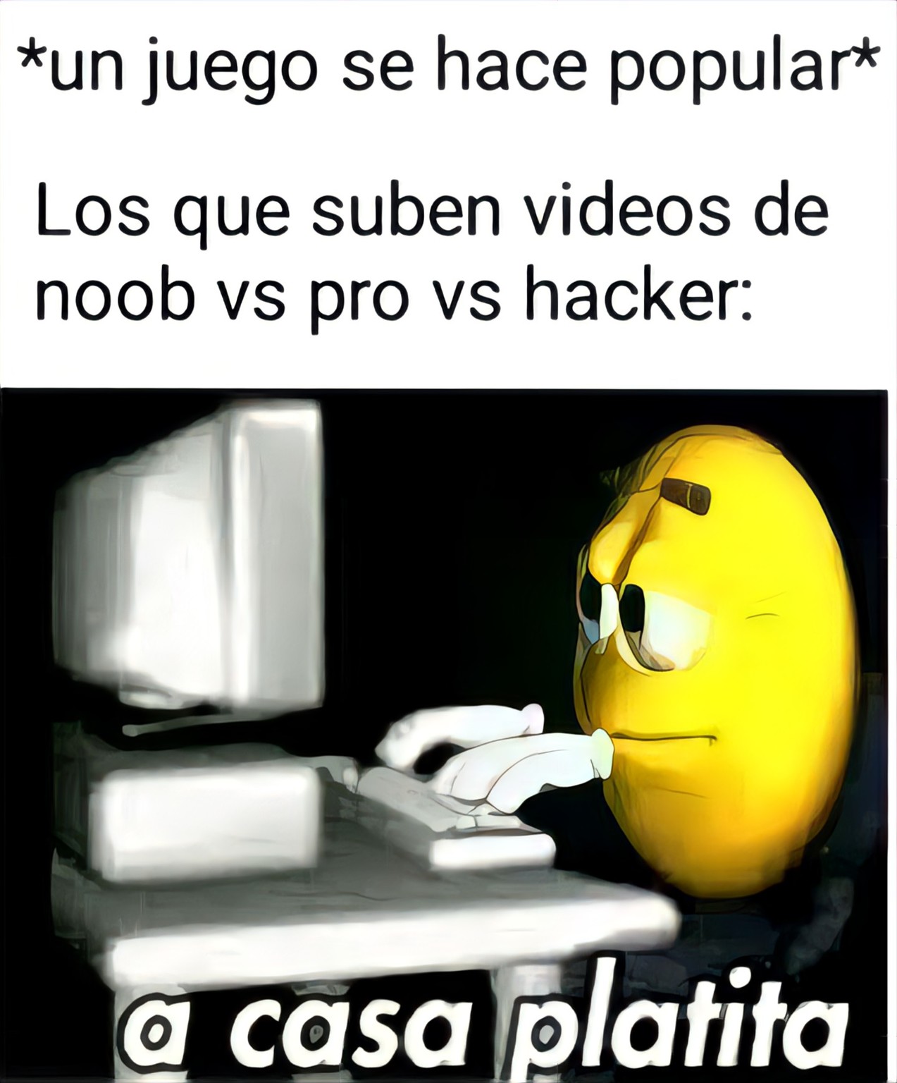 noob pro - Hackers Meme