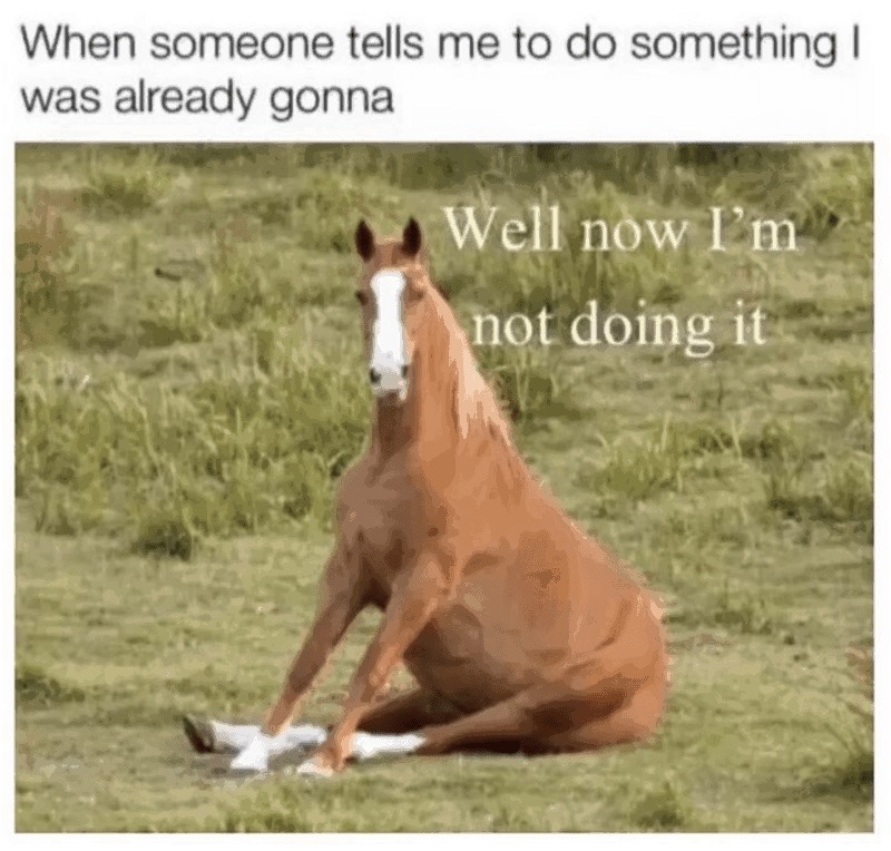 Quit horsing around - meme