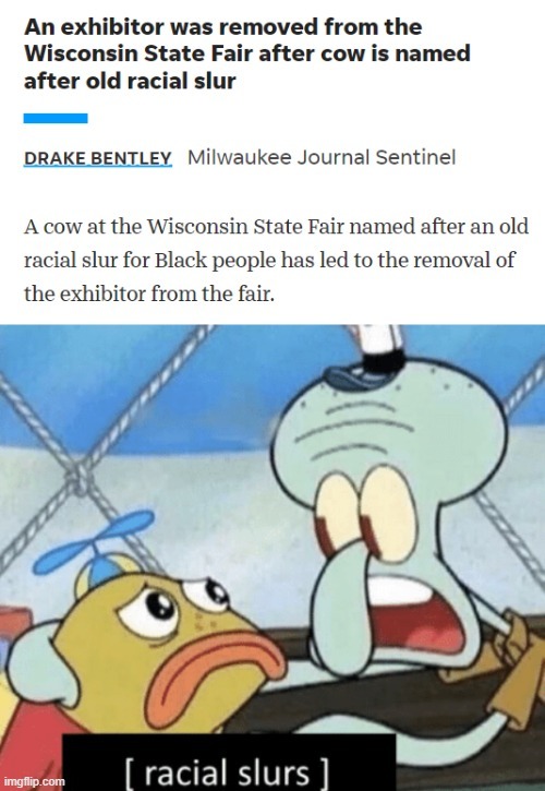 An exhibitor was removed from the Wisconsin State Fair after cow is named after old racial slur - meme