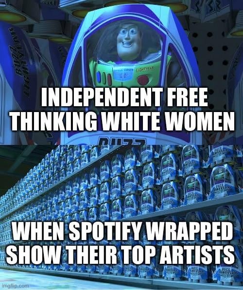 Spotify wrapped 2023 meme