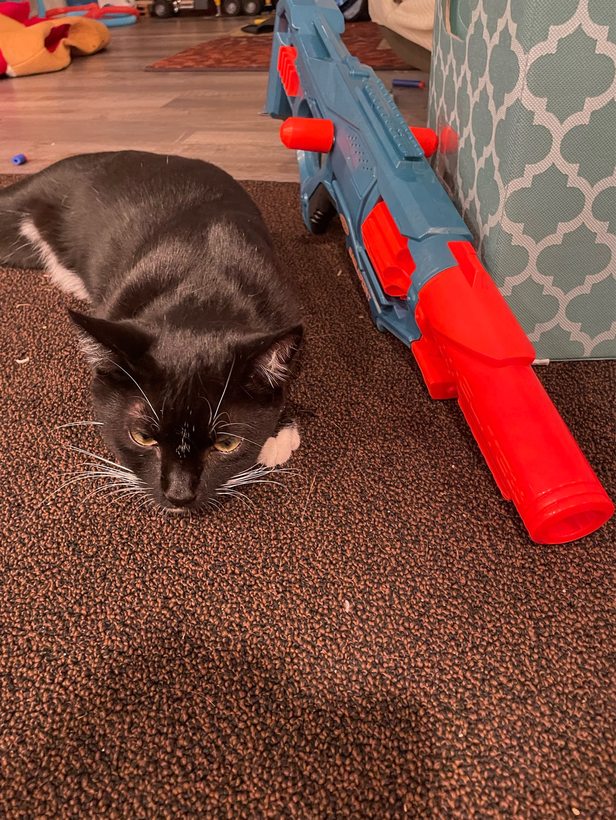 battle cat coco 2 he’s got a medium range gun - meme