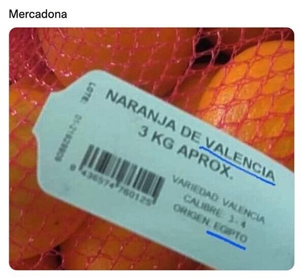Naranjas de Valencia - meme