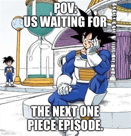 waiting for the next One Piece episode - meme