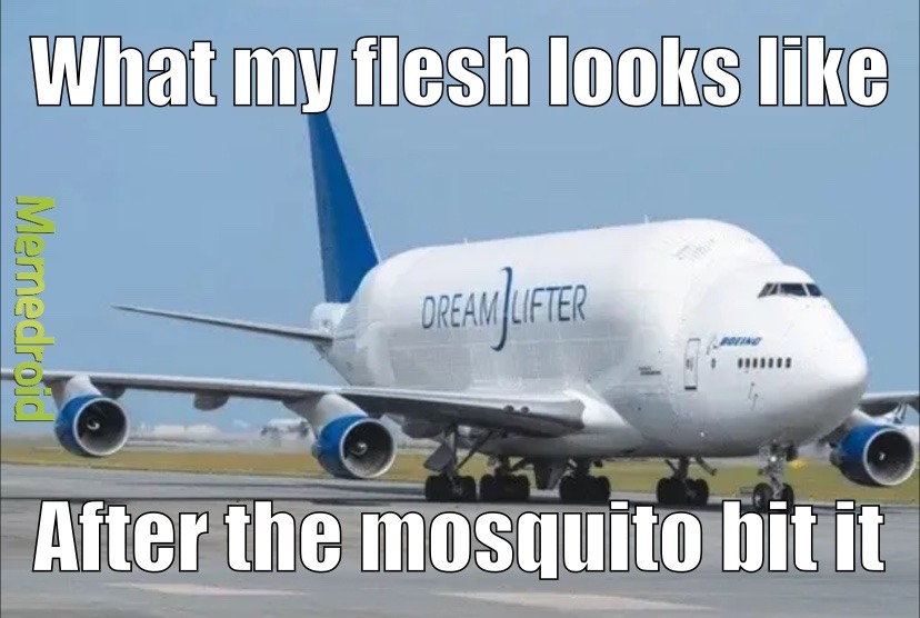 mosquito bite - meme