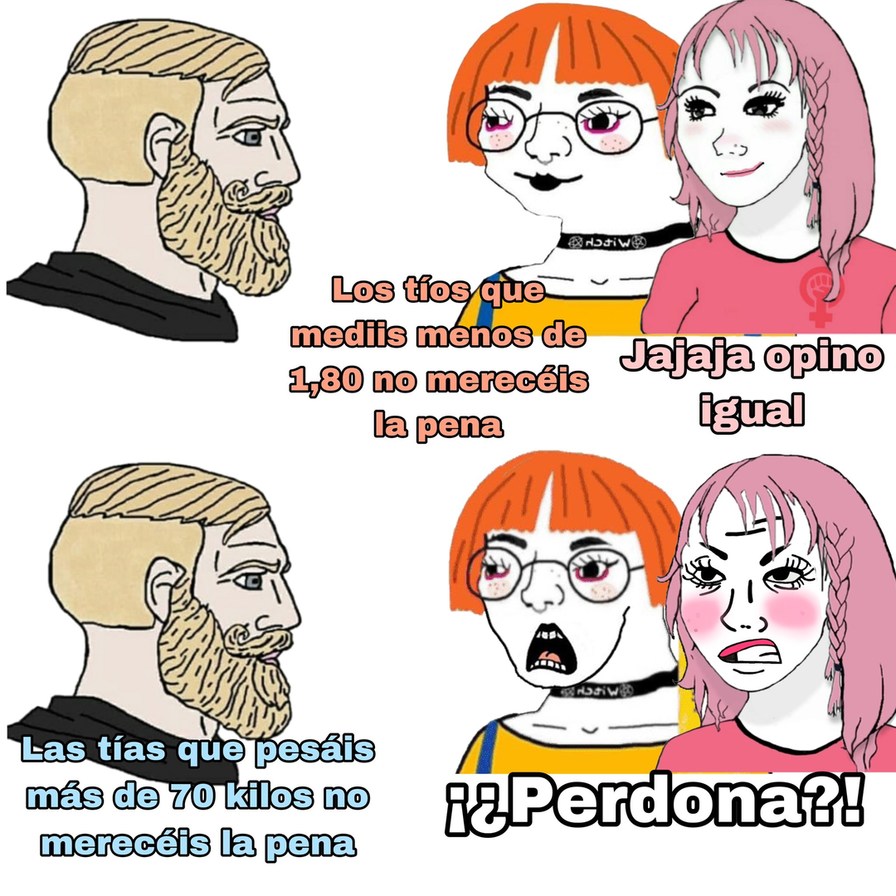 Domaron alas feministas - meme