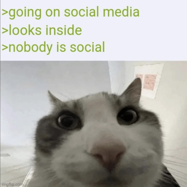 Social media vibes rn: everyone's online, nobody's social - meme