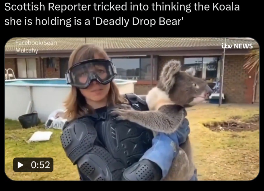 Plz Wear armor - meme