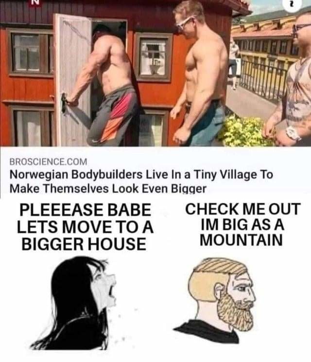 Norwegian bodybuilders live in a tiny village to make themselves look even bigger - meme