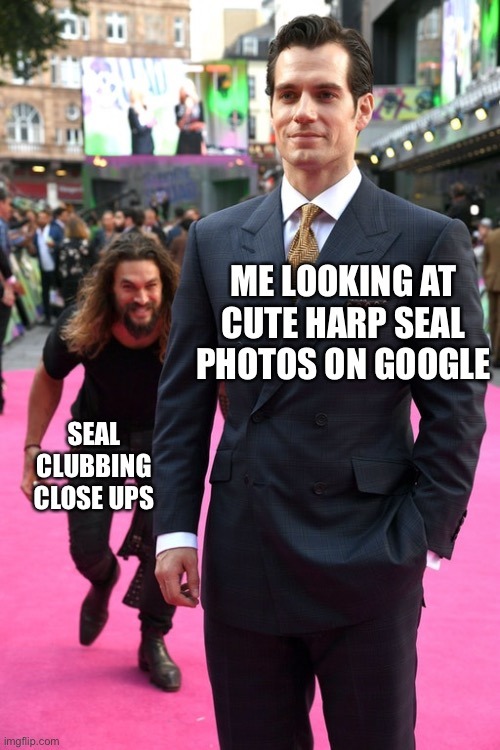 I heard seals are dangerous a group of them killed Bin Laden… - meme