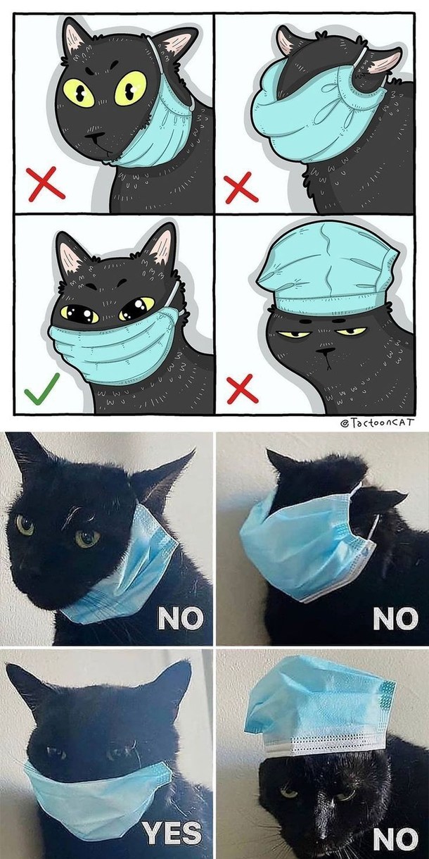 Meme