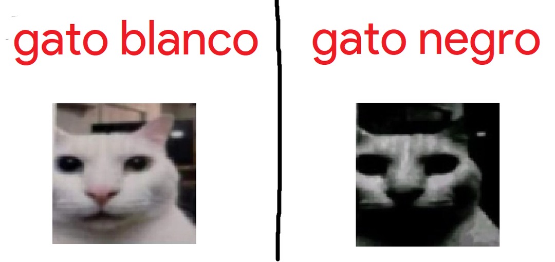 el gato negro - meme