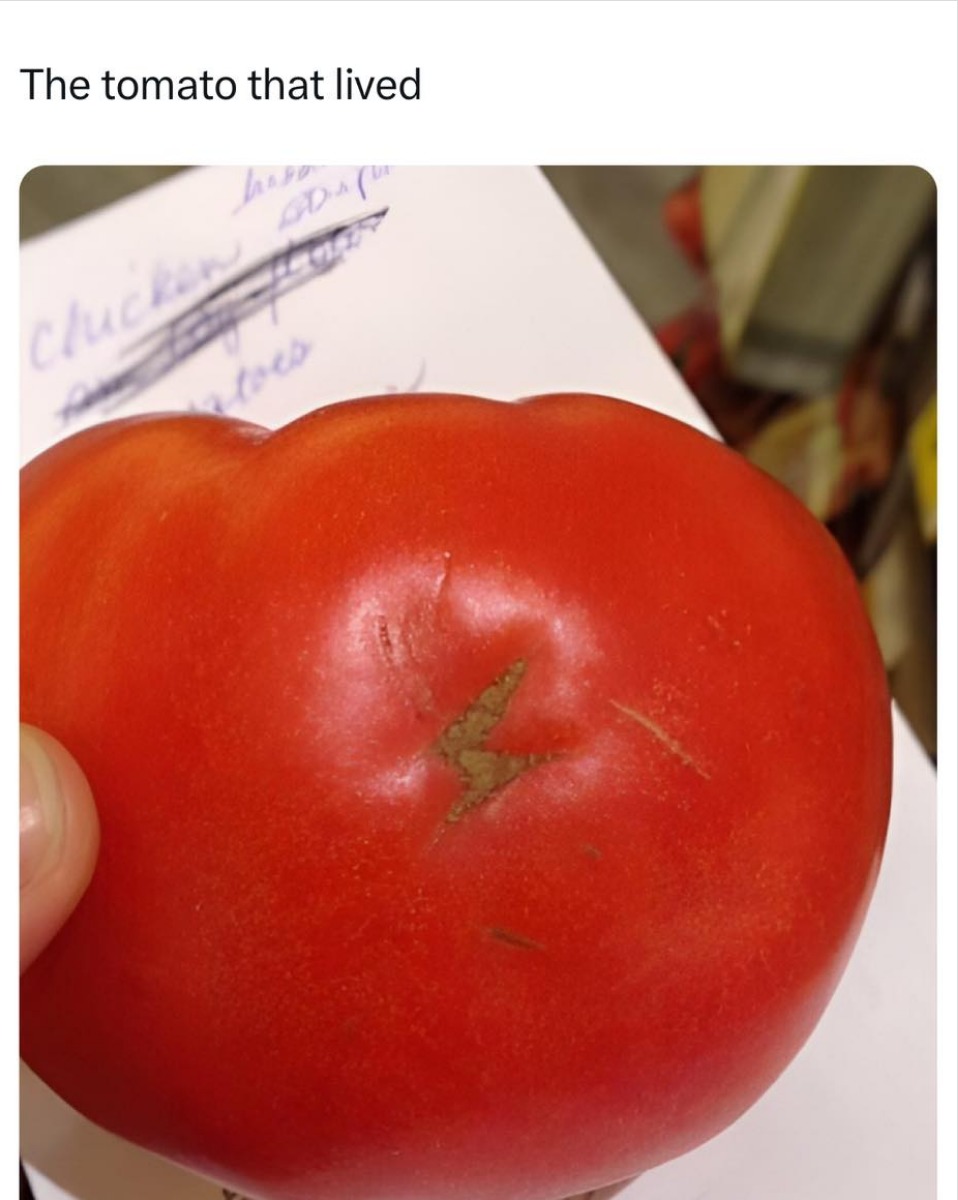 Yer a tomato, Harry! - meme