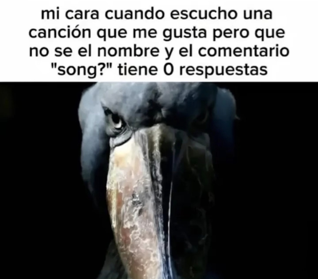 cuando la canción que te gusta no tiene ni una respuesta en los comentarios - meme