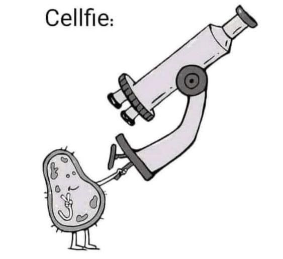 Cellfie - meme
