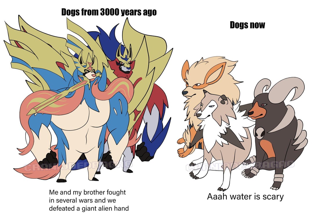 Ancient Dogs Vs Modern Dogs - meme