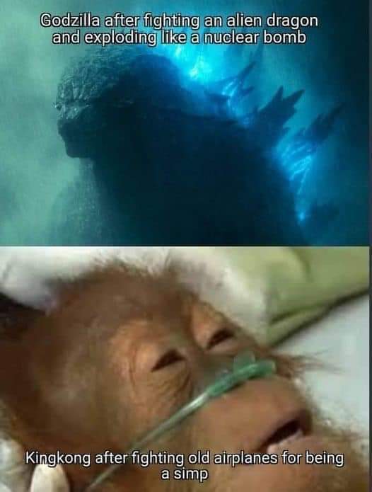 In fact, king Kong dies.... - meme