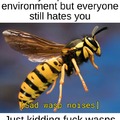 Fuck wasps