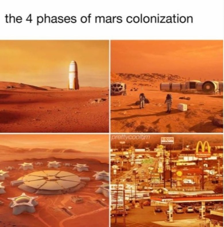 dongs in a colony - meme