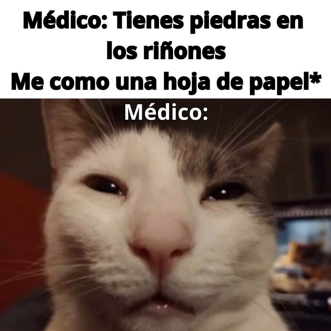 Tengo piedras en el riñón pero el papel seguro ayuda - meme