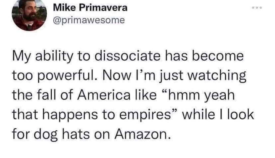 Watching America fall while hunting hats on Amazon - meme