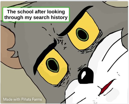 The school after looking through my search history - meme