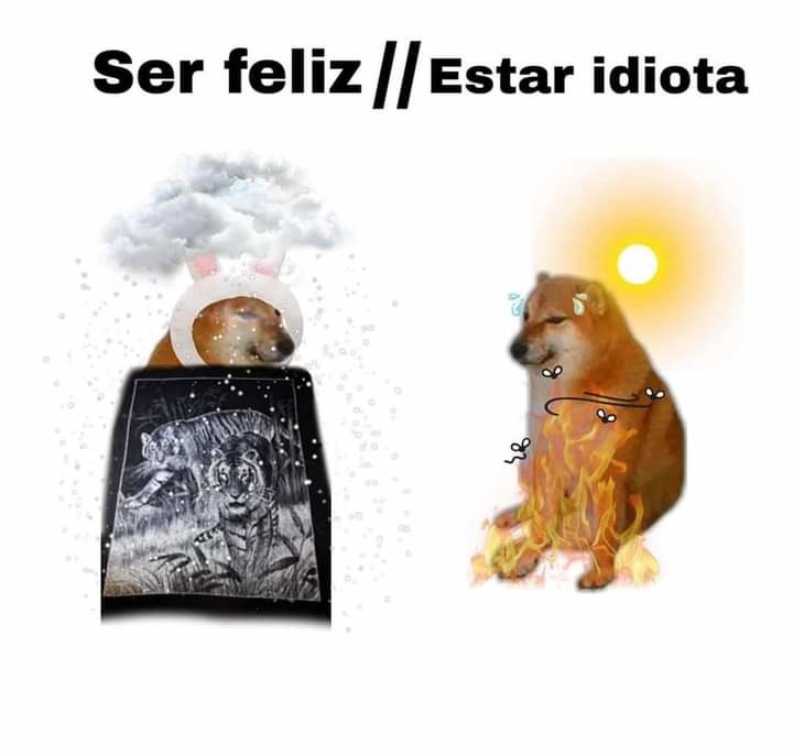 Para mí me gusta el frío y la primavera no es de ofenderse - meme