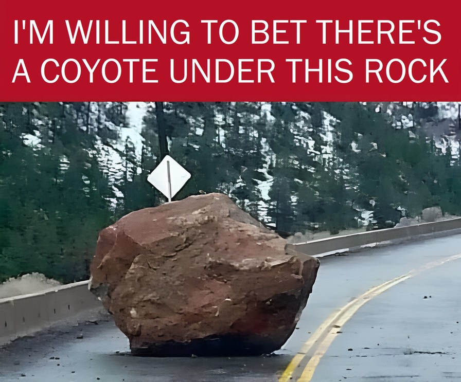 Wyle E. Coyote - meme