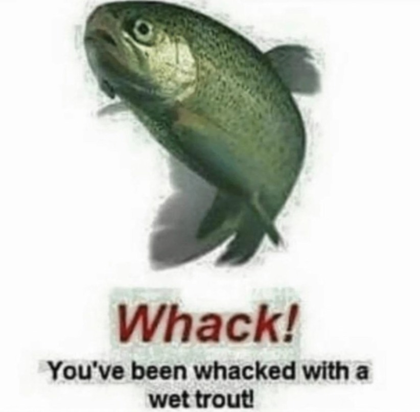 Remember what happens when you're stupid... - meme
