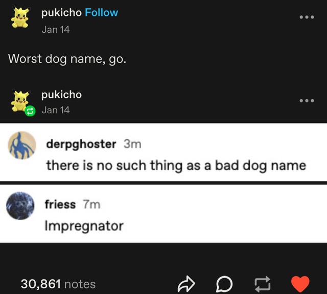 Worst dog name - meme