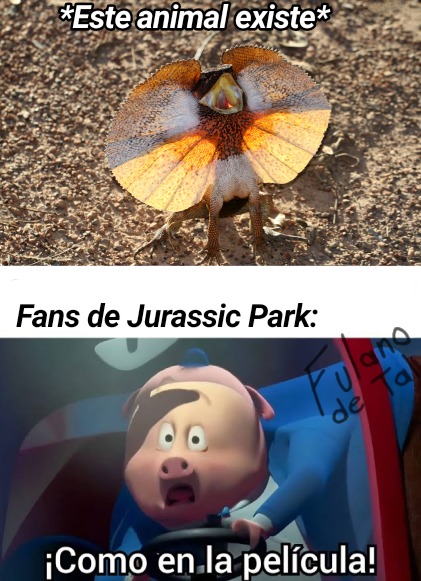 Por si las dudas, si ... Es un animal australiano - meme