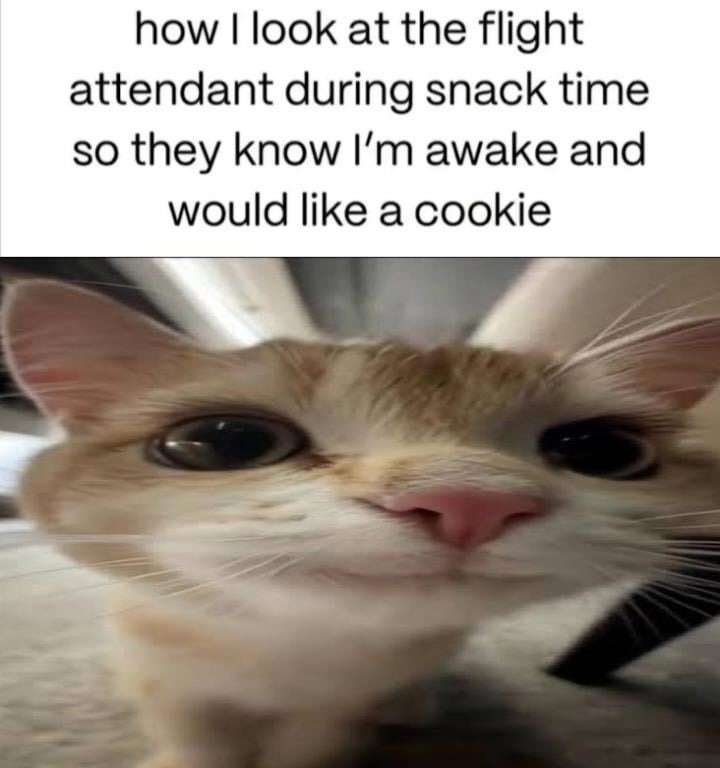 Yes, i would like that cookie - meme