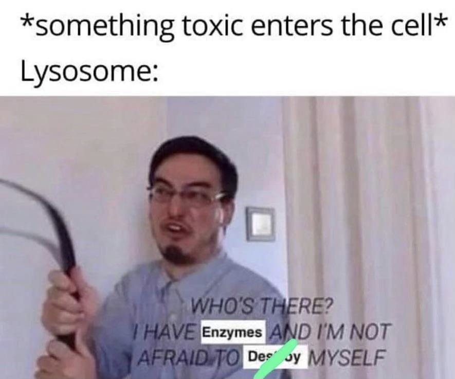 The lysosome when toxins show up: guess I’ll self-destruct - meme