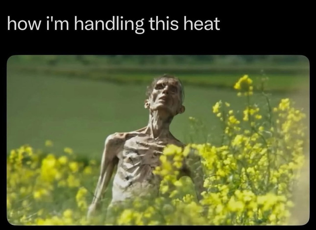 Me vs this heatwave: it's personal now - meme