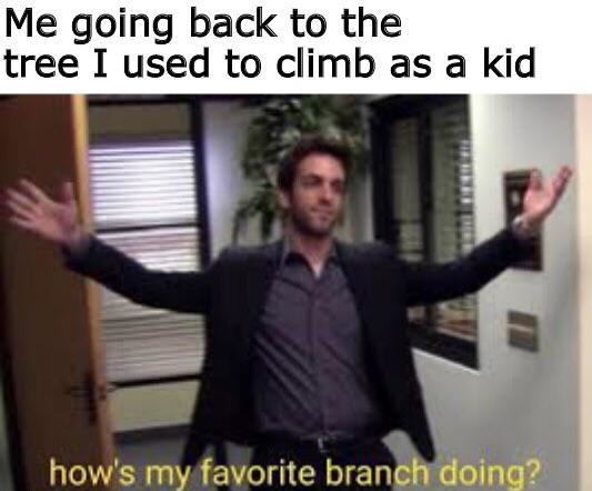 A big branch - meme