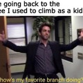 A big branch