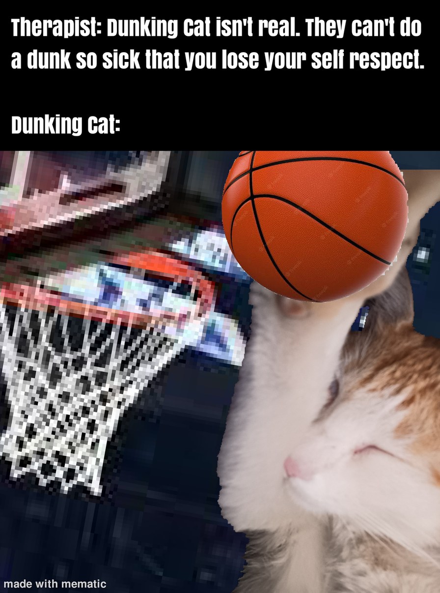 Dunking Cat Meme Meme By Tyehoax Memedroid