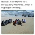 Happy birthday but im' off to my penguin's wedding