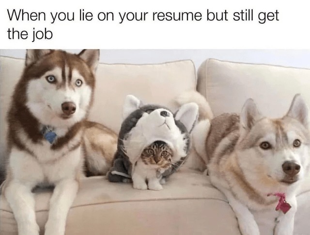 Cat+Dog=Dat Cog - meme