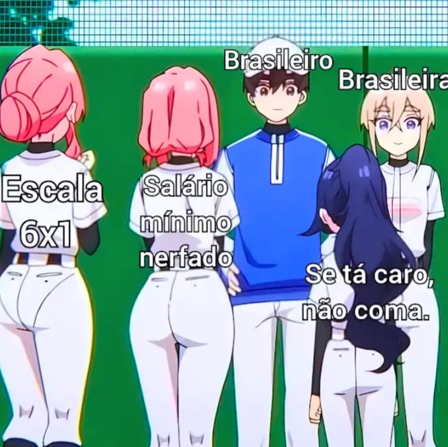 Vida de brasileiro - meme
