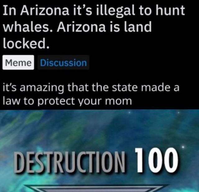 It is illegal in Arizona to hunt whales - meme