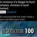 It is illegal in Arizona to hunt whales