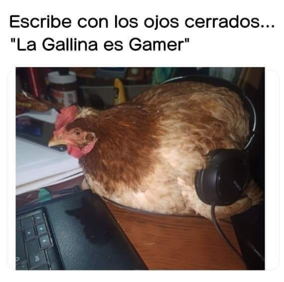 La Gallina es Gamer - meme