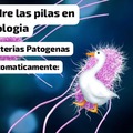 Bacterias Patogenas: