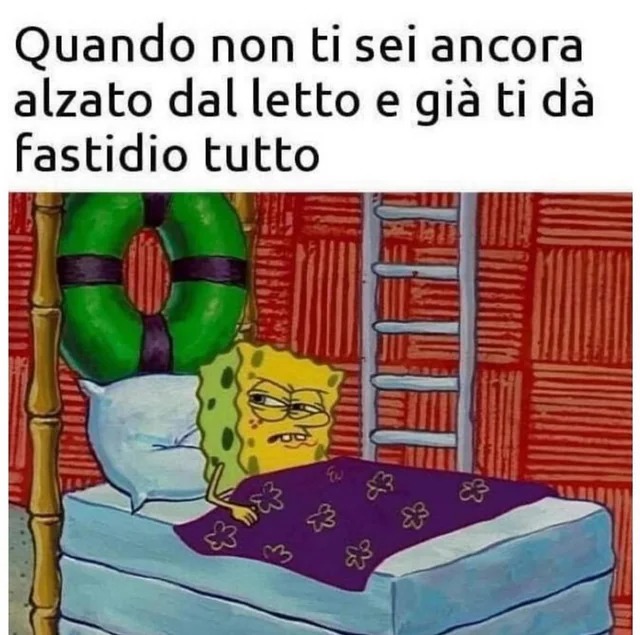Buongiorno - meme