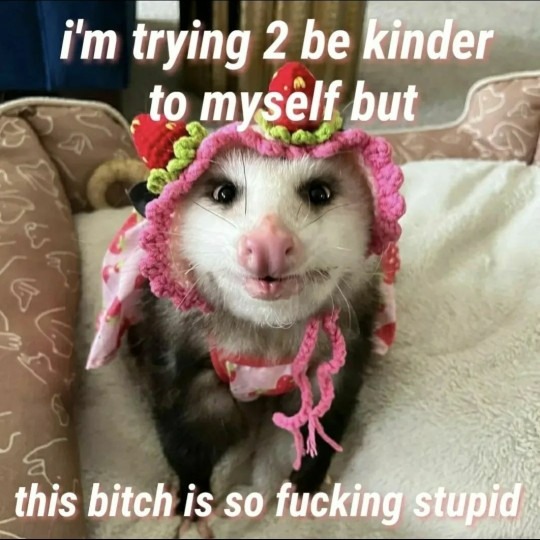 Play dead bitch. For real. - meme