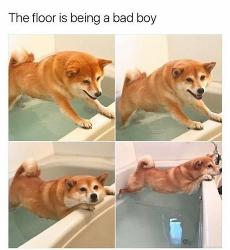 balance well doggo - meme